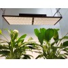 HonLIGHT 240W Full Spectrum Plant Grow Light LED Hydroponic Growing Lights for 2x2FT Microgreens Succulents Houseplant, 1x1FT Stealth Seedling Veg Grow Lights 