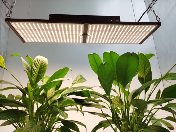 HonLIGHT 240W Full Spectrum Plant Grow Light LED Hydroponic Growing Lights for 2x2FT Microgreens Succulents Houseplant, 1x1FT Stealth Seedling Veg Grow Lights 
