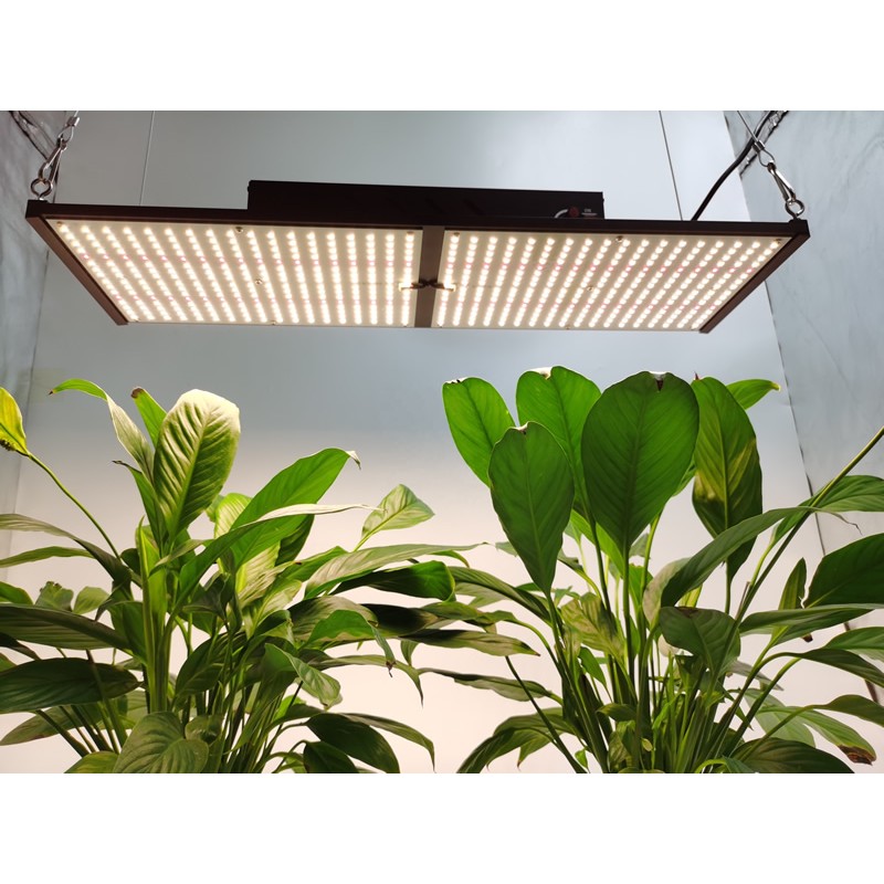 HonLIGHT 240W Full Spectrum Plant Grow Light LED Hydroponic Growing Lights for 2x2FT Microgreens Succulents Houseplant, 1x1FT Stealth Seedling Veg Grow Lights 