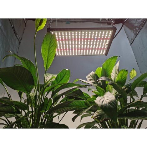 HonLIGHT 120W Full Spectrum Plant Grow Light LED Hydroponic Growing Lights for 2x2FT Microgreens Succulents Houseplant, 1x1FT Stealth Seedling Veg Grow Lights 