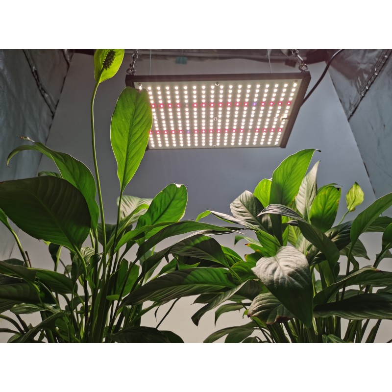 HonLIGHT 120W Full Spectrum Plant Grow Light LED Hydroponic Growing Lights for 2x2FT Microgreens Succulents Houseplant, 1x1FT Stealth Seedling Veg Grow Lights 