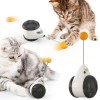 Tumbler Interactive Cat Exercise Wheel Balanced Cat Chaser Catnip Toy Cat Chasing Toy