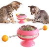 Funny Kitten Turntable Rotating Cat Toys Windmill Spring Catnip Toy with Strong Suction Cup