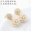 Korean Fashion Elegant Flash Diamond Pearl Ball Temperament Earrings Nhsc199112