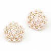 Fashion Earrings Korean Fashion Sweet Diamond Flower Earrings Nhsc199116
