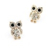 Boutique Korean Flash Diamond Sweet Owl Earrings Fahsion Jewelry Wholesale Nhsc200894