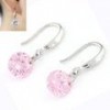 Korean Fashion Sweet Sparkling Zircon Personality Earrings Nhsc201776