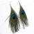 3474_NHSC569111-140-*-55mm 