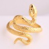 European And American Fashion Metal Lucky Snake Personality Open Ring Nhsc235728