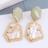 925 Silver Needle Fashion Metal Inlaid Gravel Geometric Shape Alloy Earrings Wholesale Nhsc241900