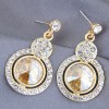 925 Silver Needle Fashion Metal Shiny Gemstone Alloy Earrings Nhsc246003