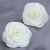 2965_NHSC1152478-52mm 
