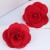 2965_NHSC1152479-52mm 