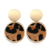 Fashion Metal Simple Round Leopard Pattern Earrings Nhsc272477