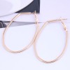 Fashion Metal Simple Geometric Oval Shape Exaggerated  Earrings Nhsc272481