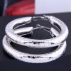 Fashion Metal Concise  Exaggerated  Earrings Nhsc283899