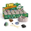 Toys dinosaur egg archaeological excavation Tyrannosaurus simulation dinosaur model children's educational toy factory