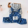 Pet clothing spot Japan and South Korea pet clothing dog hat jeans four legged clothes autumn and winter cotton clothes