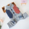 Pet clothes gentleman suit cotton padded clothes 2020 dog clothes autumn winter small dog four legged clothes Teddy thickened winter clothes