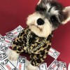 Dog clothes spring and autumn clothes Leopard Coat thickened Teddy Chenery bomeiji Doll Pet fashion clothes