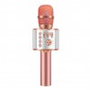 Exclusively for home mobile phone K song Bao wireless microphone children singing KTV Bluetooth microphone audio integrated