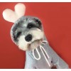 Dog clothes autumn winter small dog summer Schnauzer Ricky Teddy small dog cat Plush sweater pet clothes