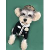 Dog clothes spring clothes small fragrance sweater cardigan Chenery Bomei Teddy coquibago cat pet clothes