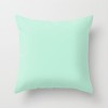Simple fashion summer fresh mint green peach skin velvet pillow case cushion pillow case