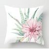 Cactus fleshy pillow case Nordic tropical plant pillow case peach skin velvet pillow case