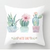 Cactus fleshy pillow case Nordic tropical plant pillow case peach skin velvet pillow case