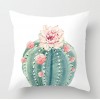 Cactus fleshy pillow case Nordic tropical plant pillow case peach skin velvet pillow case