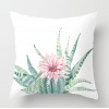 Cactus fleshy pillow case Nordic tropical plant pillow case peach skin velvet pillow case