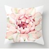 Cactus fleshy pillow case Nordic tropical plant pillow case peach skin velvet pillow case