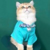 Cat clothes summer clothes thin breathable hair proof ins fashion brand cute English short blue cat dog clothes pet clothes