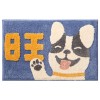 Cartoon bathroom non slip floor mat household flocking water absorption toilet floor mat living room bedroom door mat