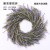 362_薰衣草  + $2.00 