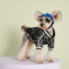 Pet clothes spring and summer letters contrast color sweater Teddy Chenery than bear firewood dog fadou cat dog clothes