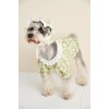 Pet clothes spring and summer lace flower shirt Teddy Schnauzer FAW firewood dog cat than bear dog clothes