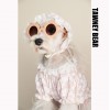 Pet clothes spring and summer lace flower shirt Teddy Schnauzer FAW firewood dog cat than bear dog clothes