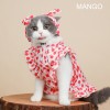 Cat clothes cat thin hair proof pet puppet cat princess skirt kitten summer Fairy Dress