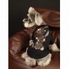 Pet clothes summer thin hot drill rabbit T-shirt Teddy Schnauzer FAW firewood dog cat than bear dog clothes