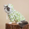 Cat spring and summer small and medium-sized dog thin printed lace top Maltese blue cat jiafeixi pet clothes
