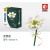 1088_601233A含笑花-白色 