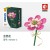 1088_601233C含笑花-玫红 