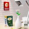 Senbao Building Blocks Flower 601232 Girl Gift Compatible with Lego Flower Bundle Puzzle Assembly Toy Holiday Gift