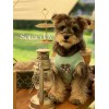Dog vest wings Teddy is thinner than bear cat Bomei Chenery VIP small dog pet clothes in summer