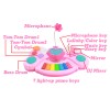 Huiye Piano Toy Keyboard Pink for Girls Plastic Electric Rainbow Music Instrument Toys Piano Keyboard With Microphone For Kids