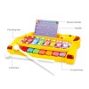 Huiye toy electronic organ toys knocking a harp 8 sound piano music instrument set xylophone