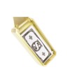 Wedding Festival Plastic Cool Rain Party Club Cash Cannon Throw Gold Spray Money Gun
