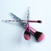 10 pcs luxury eyeshadow colorful beauty hair diamond makeup brush set